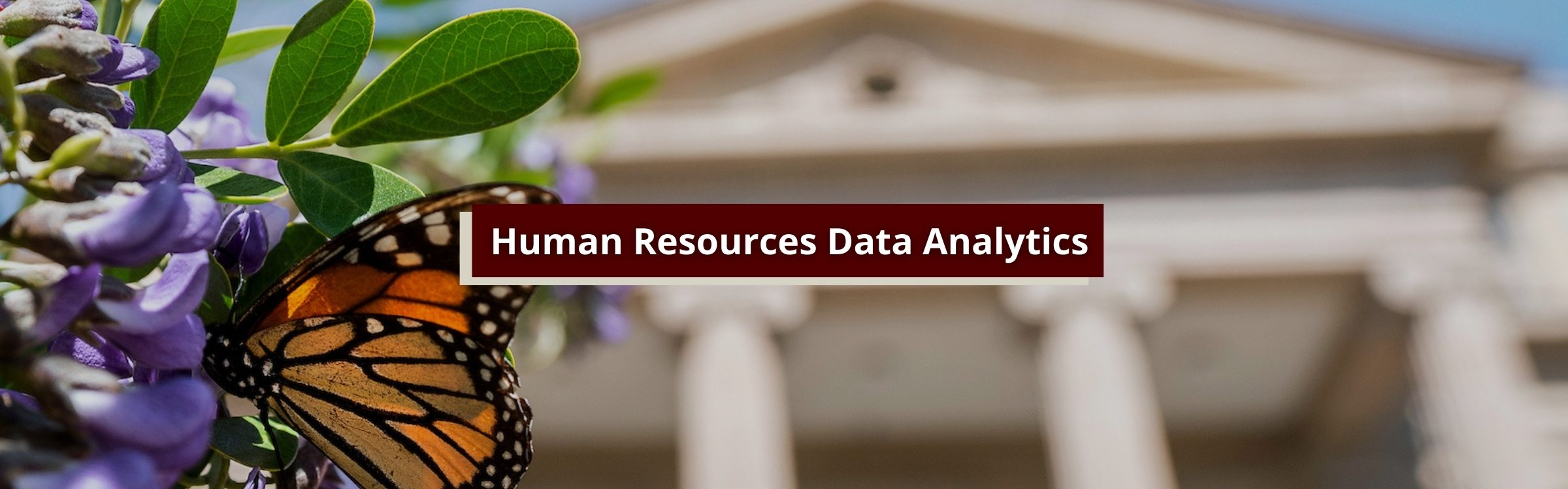 HR Data Analytics